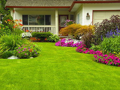 Dog Litter Clean Up, Norwalk, VA