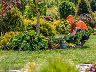 Landscape Maintenance, Norwalk, VA
