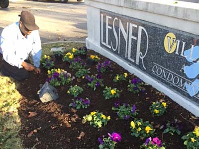 Landscape Services, Norfolk, VA