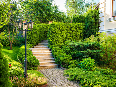 Landscape Services, Norwalk, VA