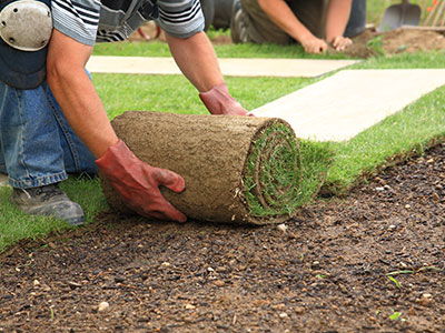 Sod Installation, Norwalk, VA